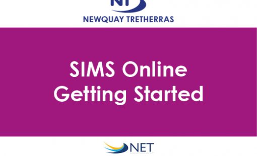 SIMS Online