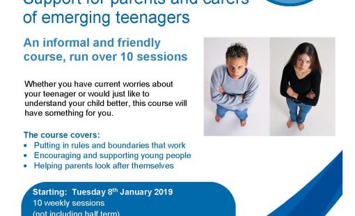 Take 3 Tretherras School January 2019_FB