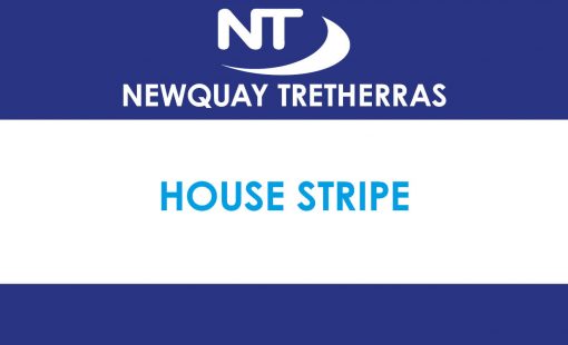 feature post 2019STRIPE