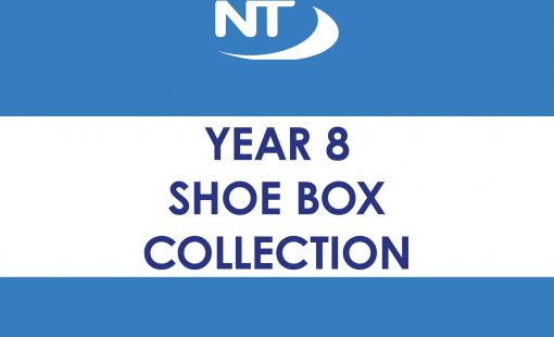 y8shoebox
