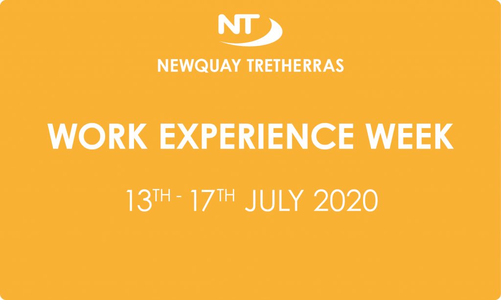 Work Experience Week 2020